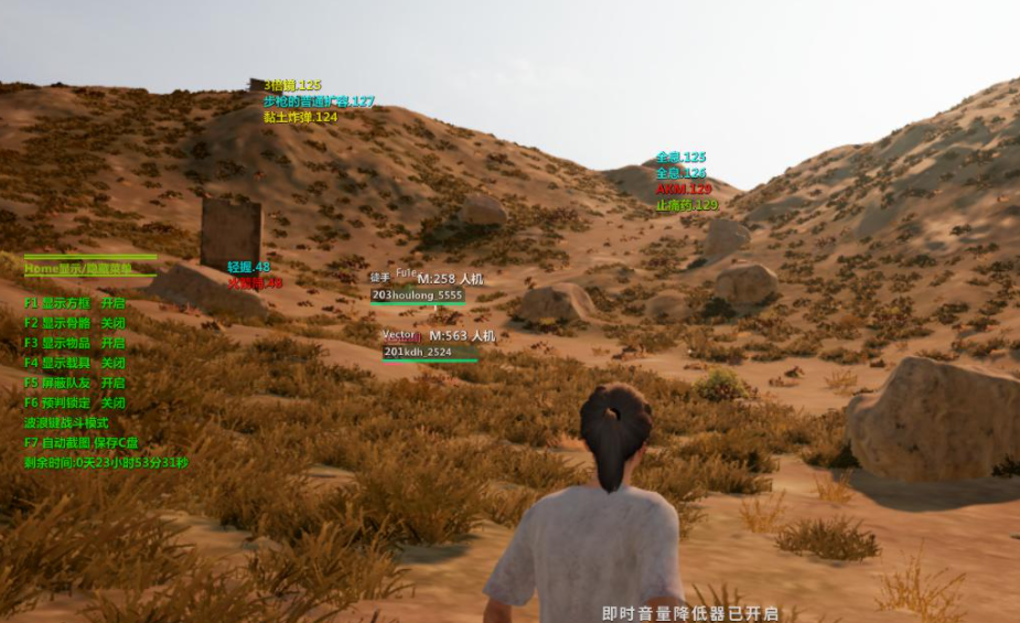 绝地求生三级头V1.31骨骼透视显物自瞄辅助破解版
