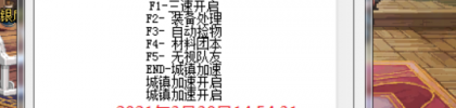 DNF鸟人V4.1多功能辅助破解版