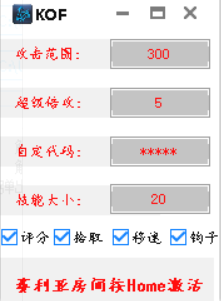 DNF暴雪V6.11半自动多功能辅助破解版