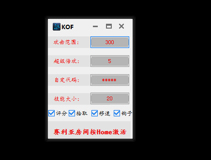 DNF暴雪V7.23半自动倍功辅助破解版