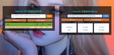 ChatGPT余额查询HTML源码分享