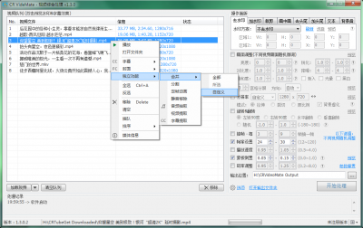 视频综合处理软件(CR VideoMate) v1.7.2.1官方版