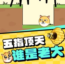 我的狗狗无广告1.0.3.4