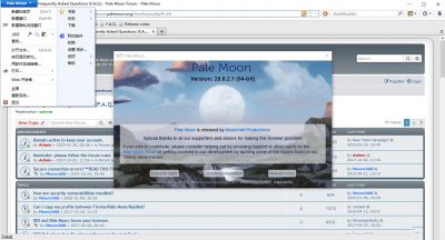 Pale Moon(苍月浏览器) v31.2.0.1官方版