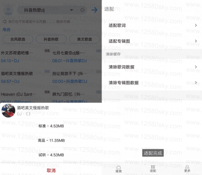 歌词适配 v4.0.9安卓版